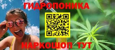 дживик Ливны