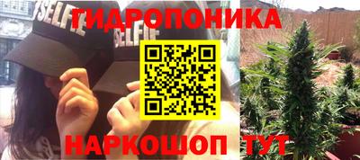 дживик Ливны
