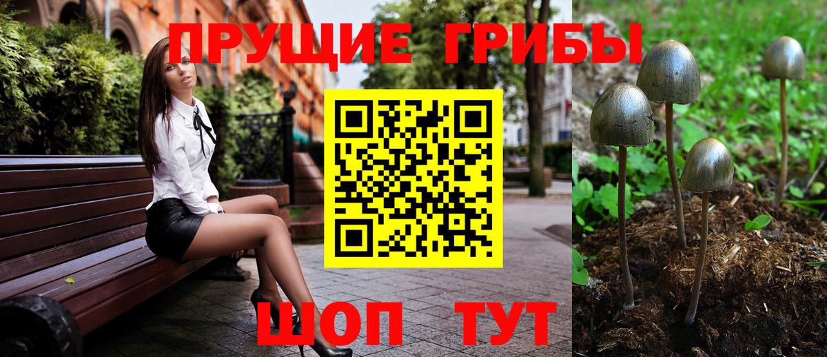 Псилоцибиновые грибы Psilocybe Россия