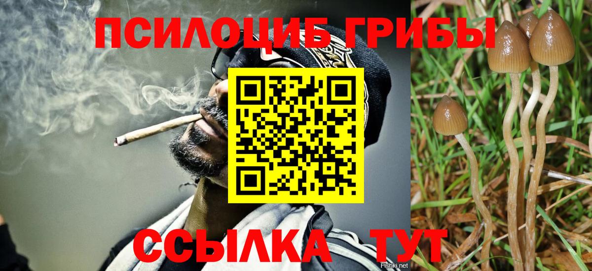 Псилоцибиновые грибы Psilocybe  Вход с VPN  Россия 